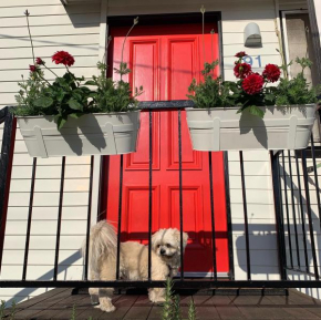 Family and pet friendly home in Brisbane